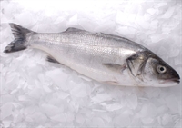 Picture of Whole Wild Sea Bass (approx 900g - £16 per kg) Picture of Whole Wild Sea Bass (approx 900g - £16 per kg)