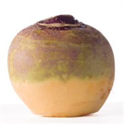 Picture of Swede (apx 600g) Picture of Swede (apx 600g)