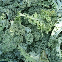 Picture of Green Curly Kale (300g)