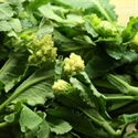 Picture of White Sprouting Broccoli (300g)