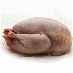 Picture of Oven-ready Partridge (approx 250g)