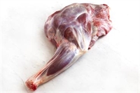 Picture of Shoulder of Venison (Muntjack - approx 600g, £11 per kg) Picture of Shoulder of Venison (Muntjack - approx 600g, £11 per kg)