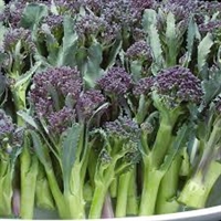 Picture of Bargain Bag Tenderstem Broccoli (approx 600g)