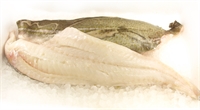 Picture of Cod Fillet (approx 300g - £16 per kg)