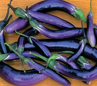 Picture of Long Aubergines (300g)