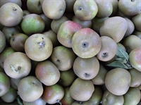 Picture of Princess Russet Apples  (500g)
