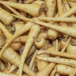 Picture of Baby Piccolo Parsnips (500g) Picture of Baby Piccolo Parsnips (500g)