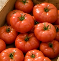 Picture of Marbonne Beef Tomatoes (approx 600g - £3.50 / kg)