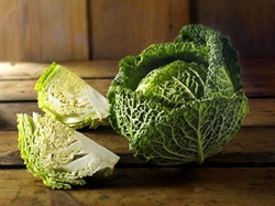 Picture of Savoy Cabbage Picture of Savoy Cabbage