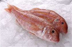 Picture of Red Mullet