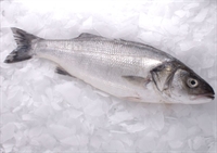 Picture of Whole Wild Sea Bass