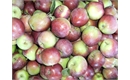 Picture of Merton Worcester Apples