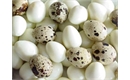 Picture of Quail Eggs