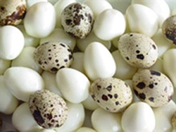 Picture of Quail Eggs