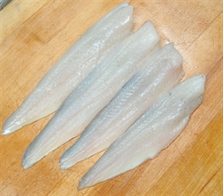 Picture of Whiting Fillets