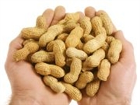 Picture of Monkey Nuts (175g)