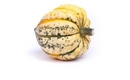 Picture of Harlequin Squash