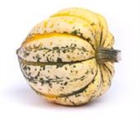 Picture of Harlequin Squash