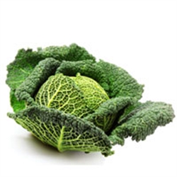 Picture of Savoy Cabbage