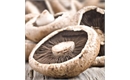 Picture of Norfolk Flat Field Mushrooms