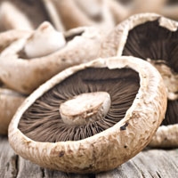 Picture of Norfolk Flat Field Mushrooms
