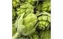 Picture of Globe Artichoke