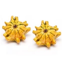 Picture of Decorative Gourds