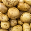 Picture of New Season Maris Piper Potatoes