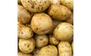 Picture of New Season Maris Piper Potatoes