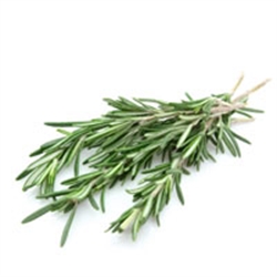 Picture of Fresh Rosemary, (bunch)