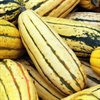 Picture of Delicata Squash