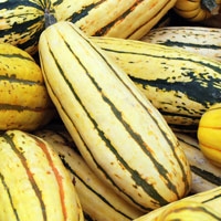 Picture of Delicata Squash
