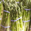 Picture of Kent Outdoor Asparagus Class 1