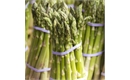 Picture of Kent Outdoor Asparagus Class 1