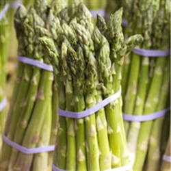 Picture of Kent Asparagus Class 1
