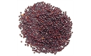 Picture of Mustard Seed, Black (50g)