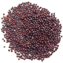 Picture of Mustard Seed, Black (50g)