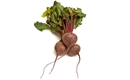 Picture of Beetroot, Bunched (500g)