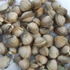 Picture of Cockles