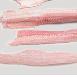 Picture of Smooth Hound Shark Fillet