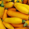 Picture of Yellow Courgettes