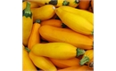 Picture of Yellow Courgettes