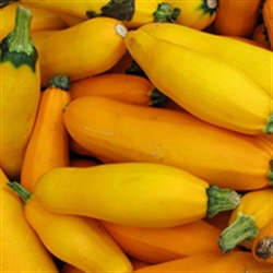 Picture of Yellow Courgettes