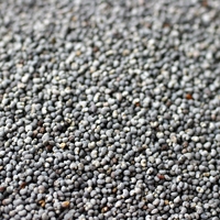 Picture of Poppy Seeds (50g)