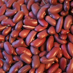 Picture of Pinto Beans, Dried (400g)