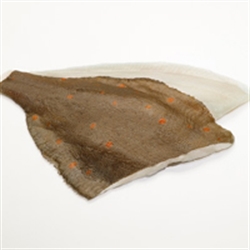 Picture of Plaice Fillets
