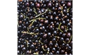 Picture of Fresh Blackcurrants