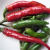 Picture of Mixed Chillies