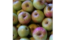 Picture of Laxton Fortune Apples