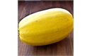 Picture of Spaghetti Squash